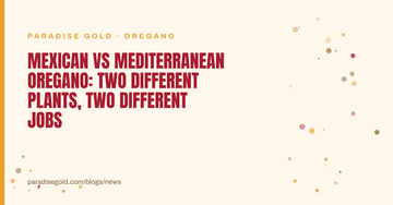 Mexican vs Mediterranean Oregano: Two Different Plants, Two Different Jobs
