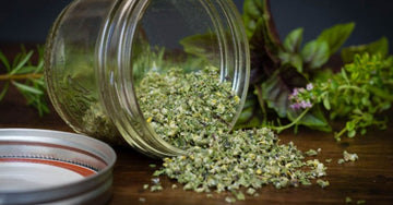 Mediterranean Magic: Cooking with Herbs that Inspire Longevity
